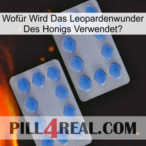 Wofür Wird Das Leopardenwunder Des Honigs Verwendet 20